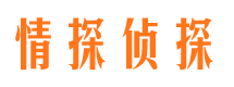 城关侦探公司